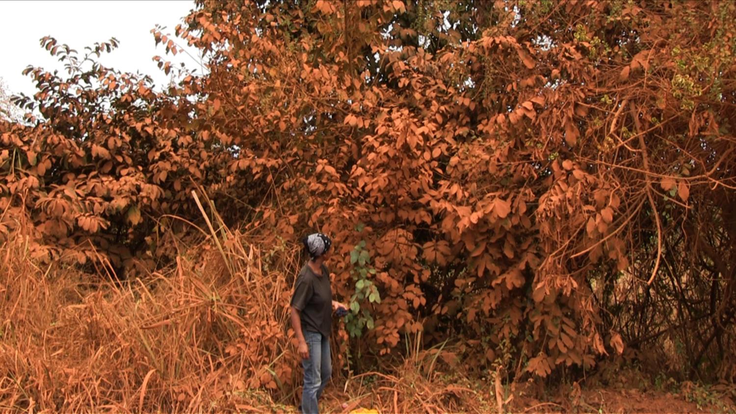 Vumbi