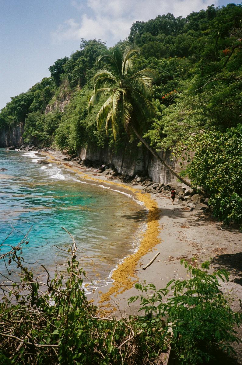 Ou Lé, Martinique